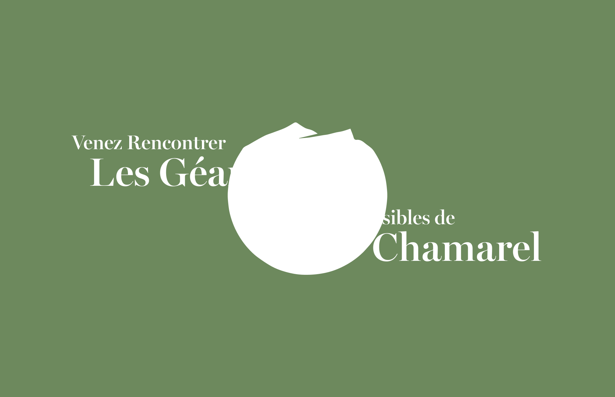 L’héritage des tortues