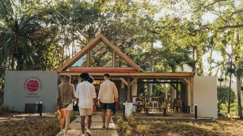 Start your coffee tour in Chamarel, Mauritius, and discover local coffee plantations and traditions