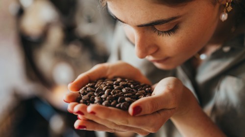 Dégustation de café, découvrant les arômes et saveurs des cafés locaux