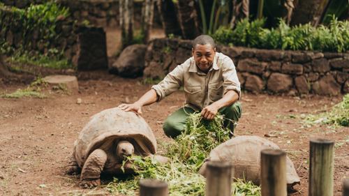 Giant tortoise conservation area at Chamarel, highlighting efforts to protect the local fauna