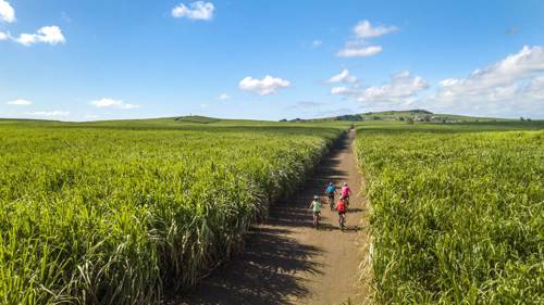 "Responsible tourists enjoying a slow travel experience in a rural village in Mauritius