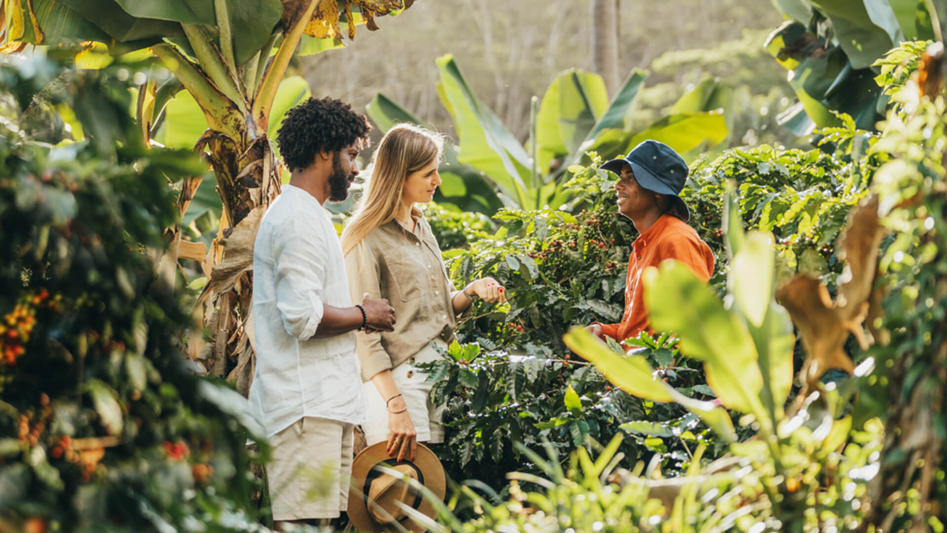 Coffee Plantation Tour