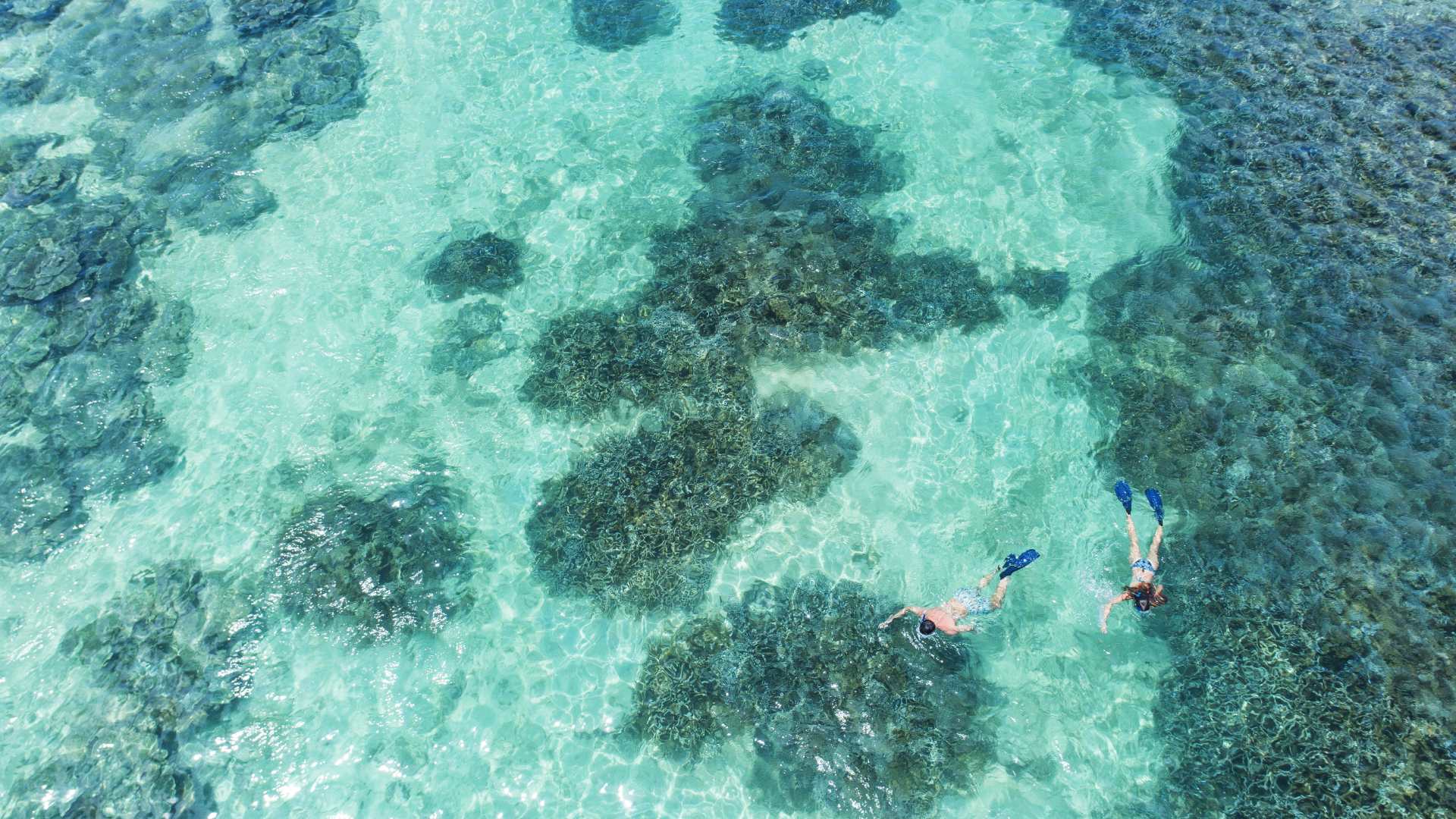 Best Things to Do in One Day in the West of Mauritius in 2025